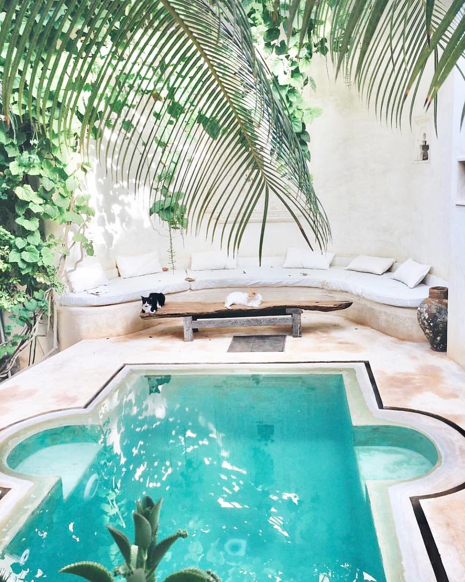 visit_lamu's tweet photo. Chilling by the pool 🏊 https://t.co/57OAR60n8Z