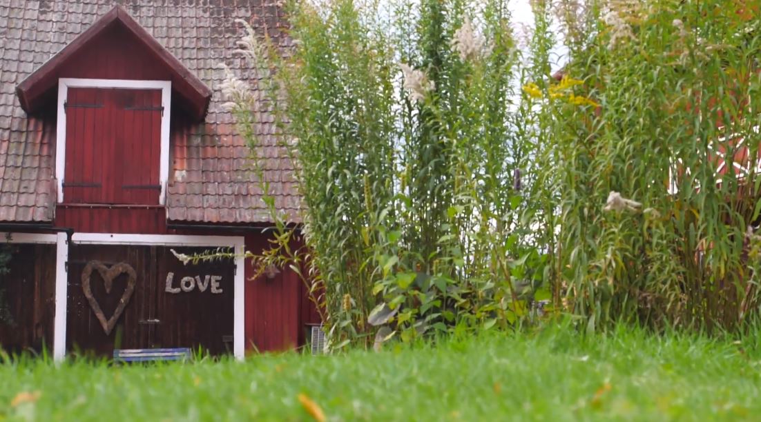 European Youth ❤️🇪🇺 tweet media