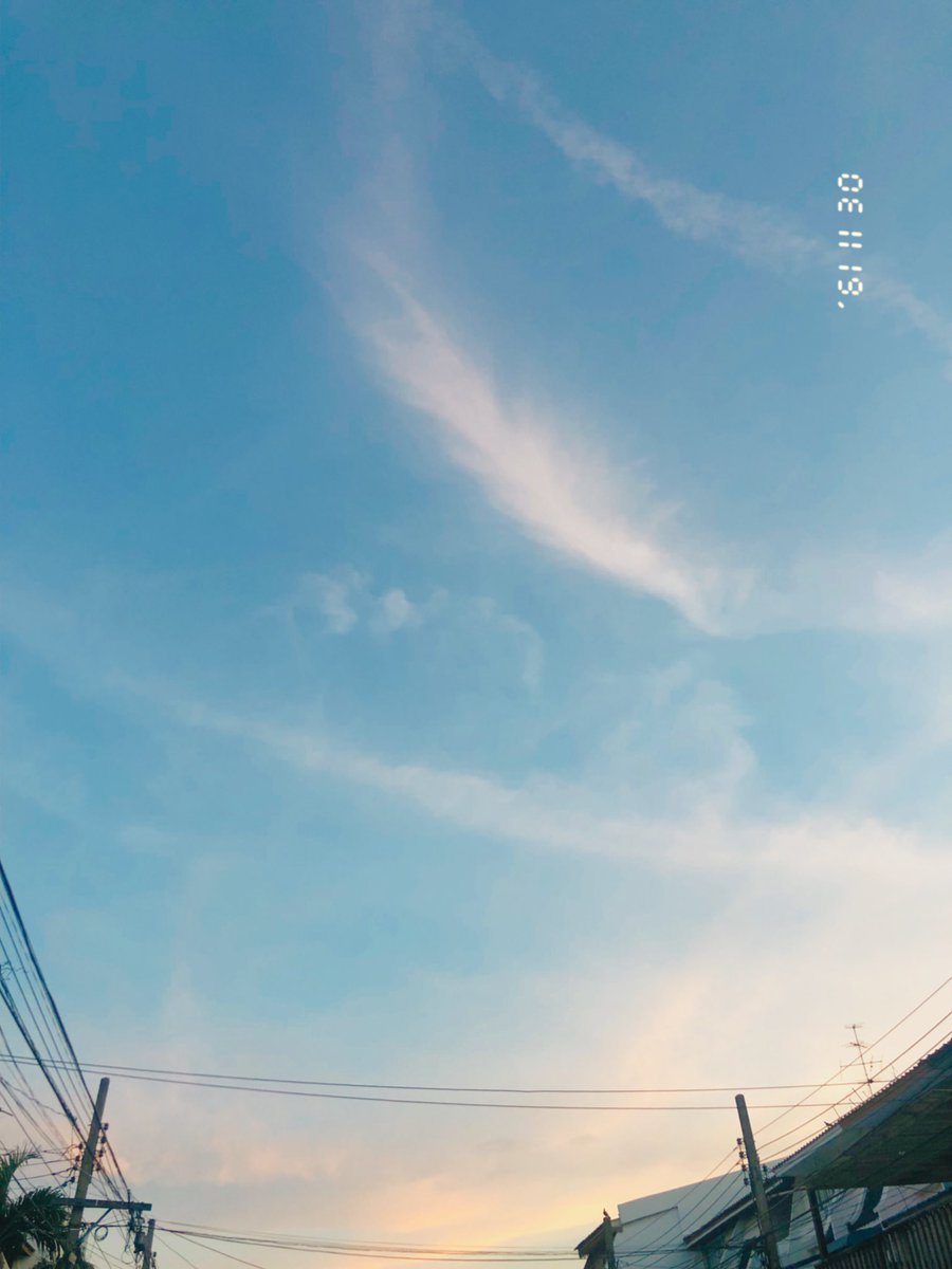 ˚˚ ༘♡🌷 babymoon 🐶🌻🍒✧︎.* tweet media
