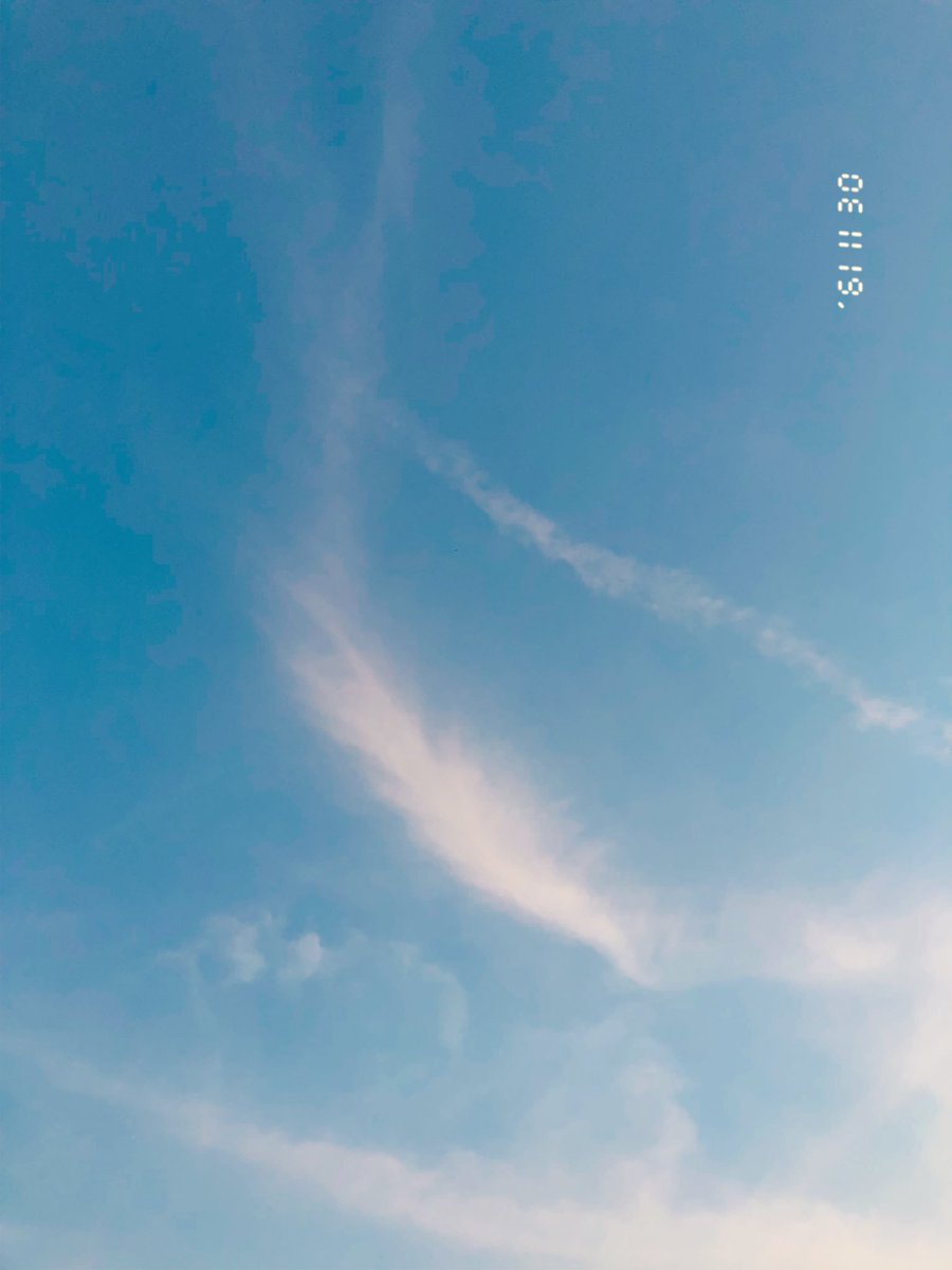˚˚ ༘♡🌷 babymoon 🐶🌻🍒✧︎.* tweet media