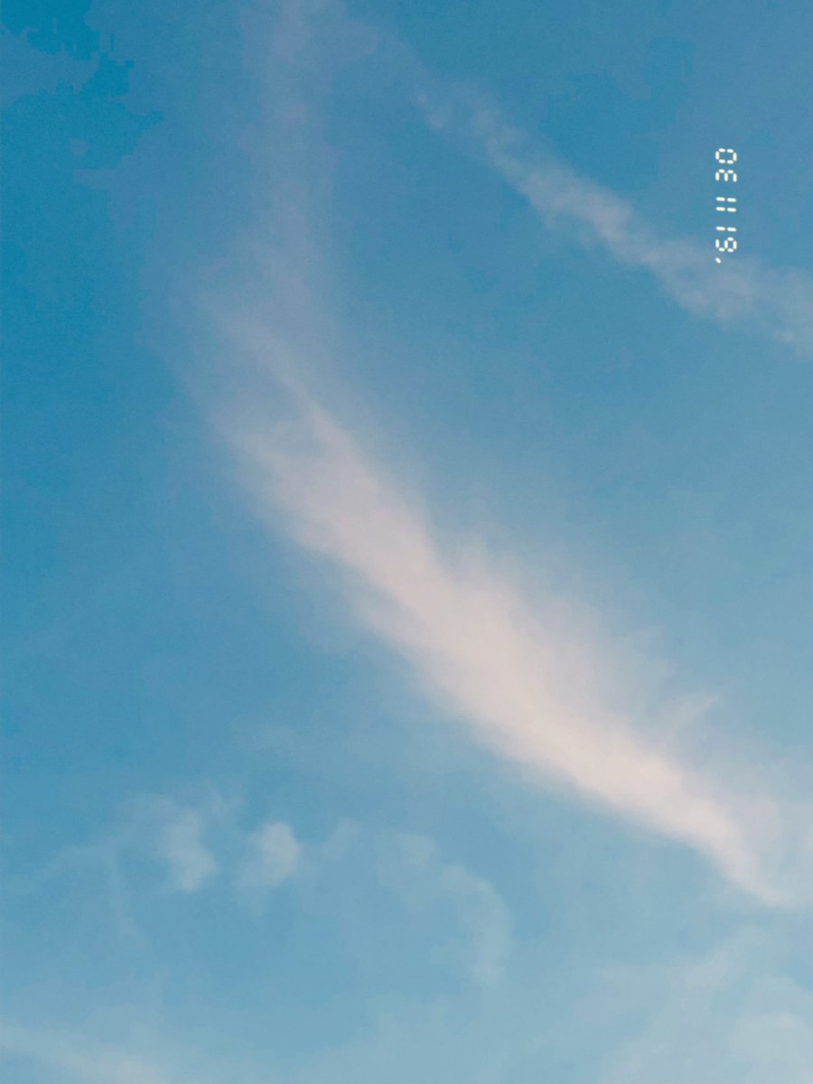 ˚˚ ༘♡🌷 babymoon 🐶🌻🍒✧︎.* tweet media