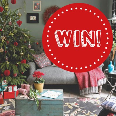 Evolution PR tweet media