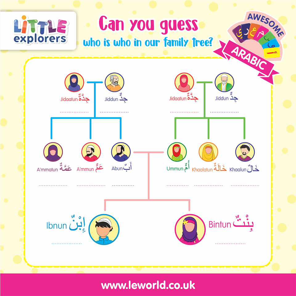 LittleExpMag tweet picture