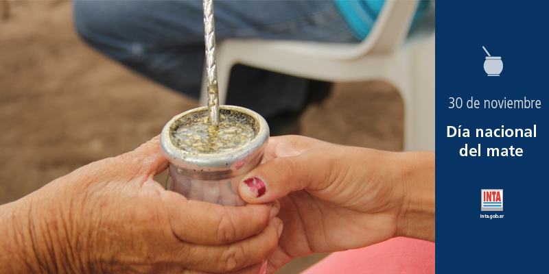 intaargentina's tweet photo. ¡Buen día! Hoy es el #DíaNacionaldelMate
Compañero inseparable. Amargo, dulce, con yuyos.. en el campo, en la ciudad, en la playa, en la montaña 
¡Compartí fotos de tus mateadas! https://t.co/i0jFNddm2x