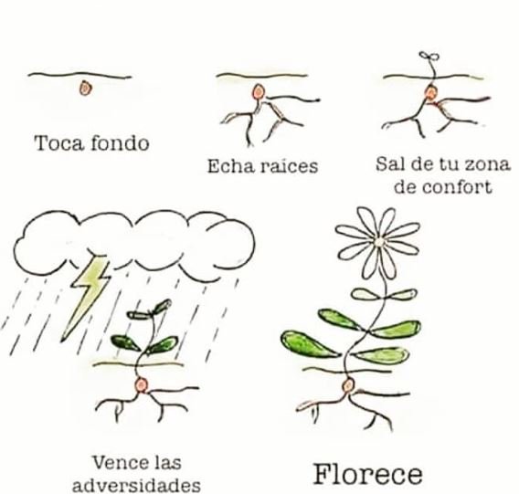 SeminisIberia's tweet photo. En #Seminis y #DeRuiter vivimos con verdadera pasión la #agricultura; tanto que incluso nos guía en nuestra forma de vida.
¿Que no lo crees? ¿Acaso hoy te han dado un mejor #consejo que este...?
 #SeunaSemilla #BeaSeed https://t.co/D1BibfALut