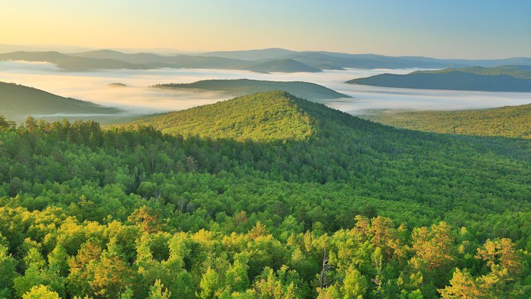 #Xi Jinping'den yeşil #ekolojik bariyeri sağlamlaştırma çağrısı goo.gl/QRLTni