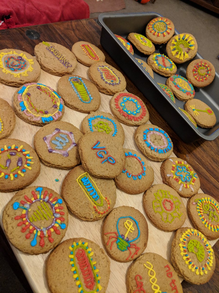 We loved your donuts so much @nataliadorr, that we made our own spiced biscuits! 
A little viral recombination going on in our bellies in today's lab meeting! Thanks to @The1stNazerick & @Stacey_Human for making them for us! Which is your favourite?#LoveVirology #Alloftheviruses