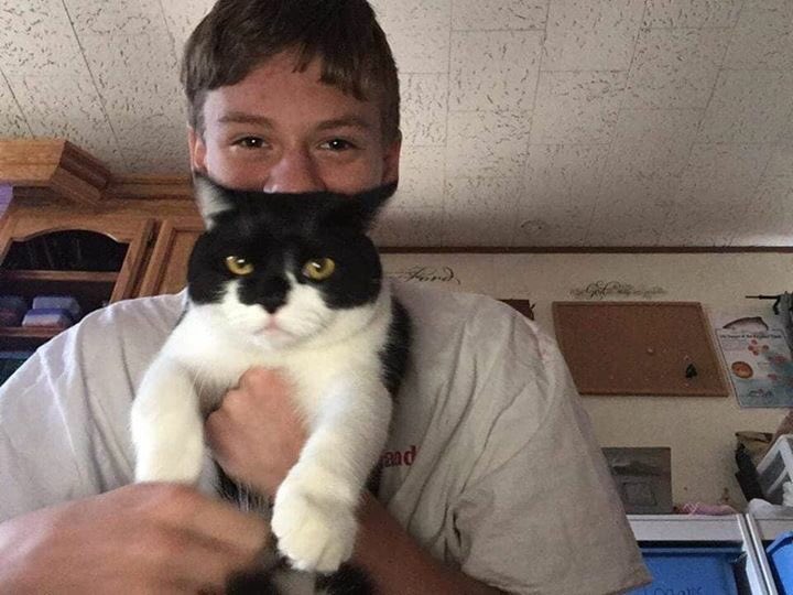Mich20181's tweet photo. #CampFireMissingPets #DisasterAssistTeam Cindy Forde FB:PLEASE share these pics and help us find them!We had to move to TN after fleeing the fire so I can't be there to check shelters every day. Please help😭 2 males,black/white tuxedo, no chip, indoor only, lived on Edgewood Dr. https://t.co/fHo58WkEWX