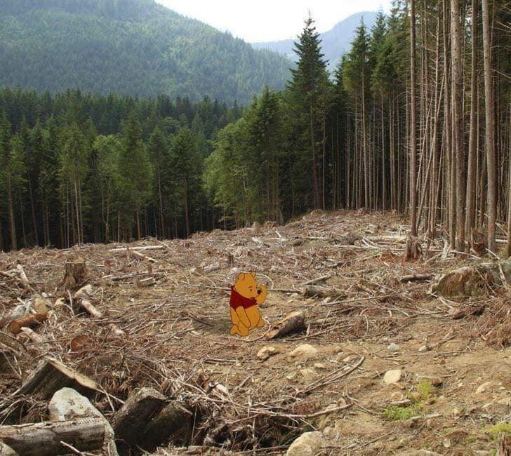 DaniT76296571's tweet photo. i saw a post on facebook that said "if Disney characters lived in the real world" and these pictures were really interesting.. https://t.co/u9hF5ut9hi