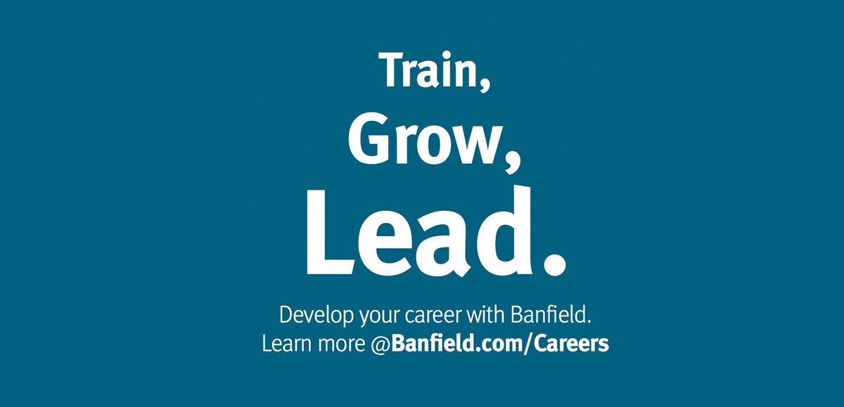 viralvet's tweet photo. Train, Grow, Lead.  Develop your career with #Banfield.
https://t.co/gQX1pH5Wjd #VV https://t.co/lK8Q67qJ91