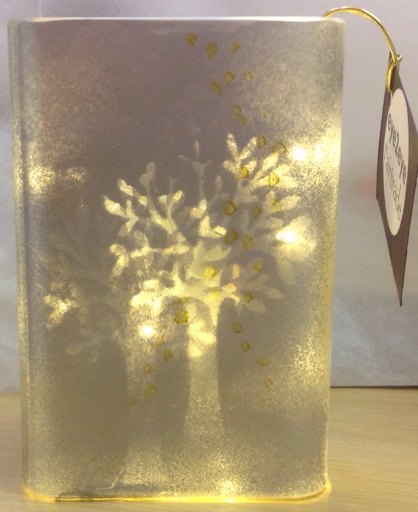 Helen @eye2eye tweet media