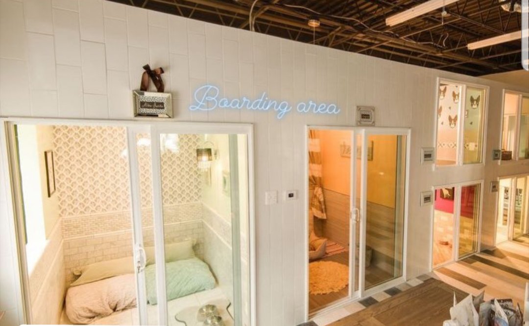 101pawshop's tweet photo. What's it like inside 101 Paws?
Check out our cool interior πΎ
Visit our website;
https://t.co/06RcQqxkhh
#101Paws #Dubai #Petlife #PawsUp #trendy #Peaceful #uniquefromdayone https://t.co/q2AzRDwgIg