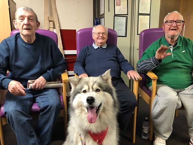 This Husky visit to <a href="/AgeUK_Barnsley/">Age UK Barnsley</a> has given us that #FridayFeeling 😍🐶

Thunder the Therapy Husky visited his local Age UK to put smiles on the faces of the older people. It looks like he had a pretty good time too!

Have a great weekend everyone 😄