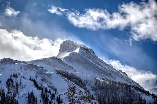 DNN Software 📈 tweet media