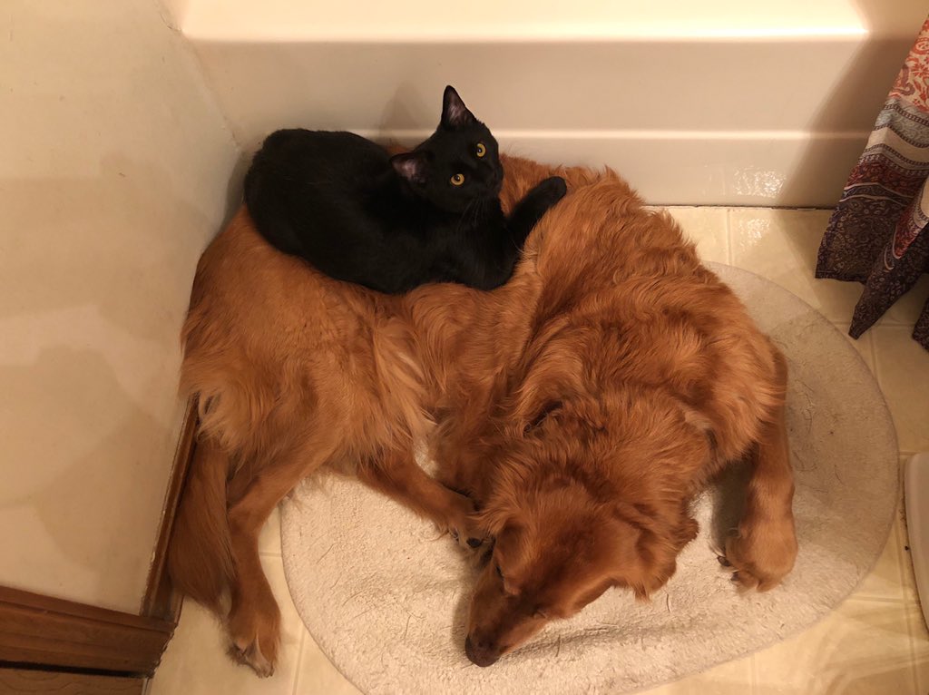 if this isn’t the cutest pair of best friends you’ve ever seen you are WRONG