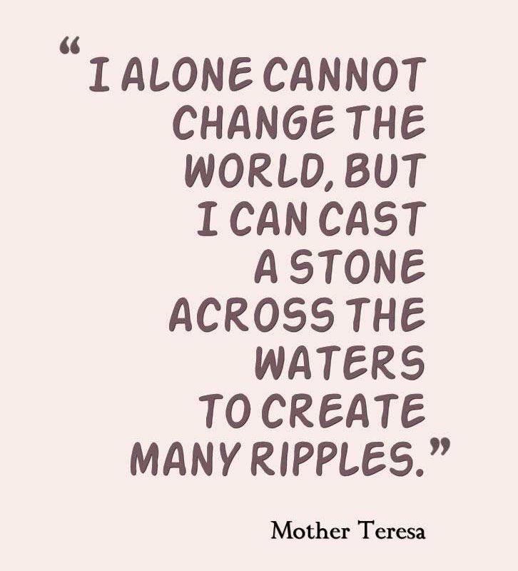 ms.ciolek tweet media