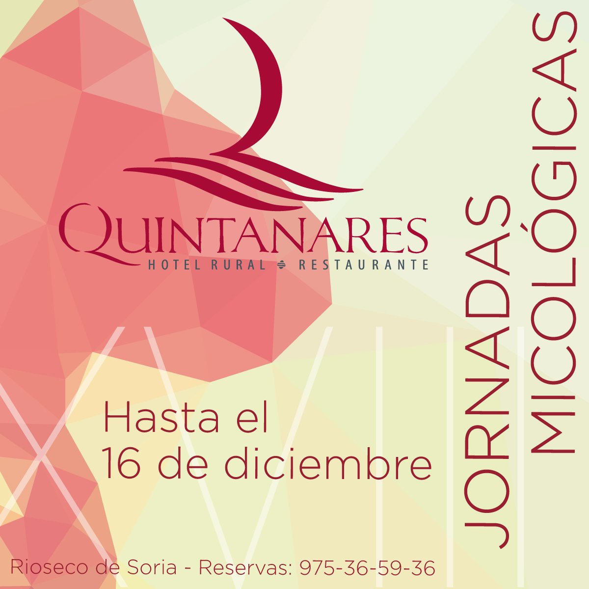 QuintanaresRest's tweet photo. Este año os ofrecemos nuestras jornadas micológicas hasta el 16 de diciembre. Haz tu reserva en el 975-36-59-36 y no te quedes sin mesa! https://t.co/IbMk1dczD7