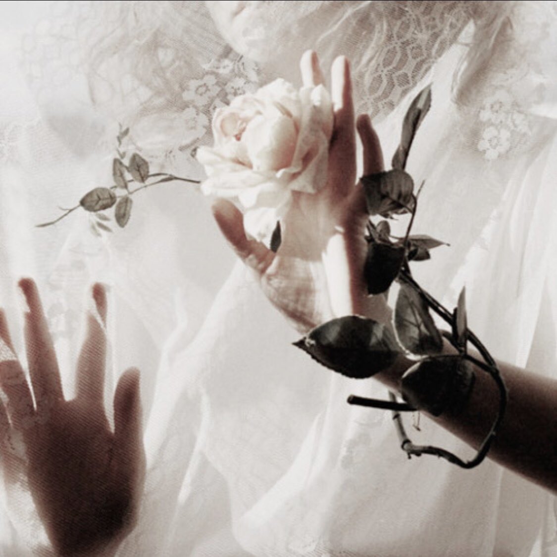 frayedge's tweet image. ❃⧴
               
                『 
                          𝙙𝙚́𝙛𝙚𝙘𝙩𝙪𝙚𝙪𝙭
                                                    』  
⠀⠀⠀⠀⠀