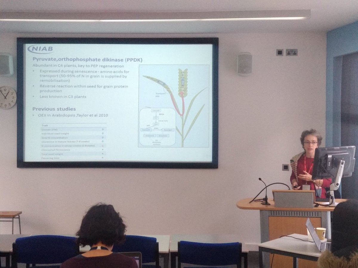 ResearchNCircle's tweet photo. Emma Wallington explains @NIABTAG's on-going work on minimising crop N demand https://t.co/WAH6fQN3vh