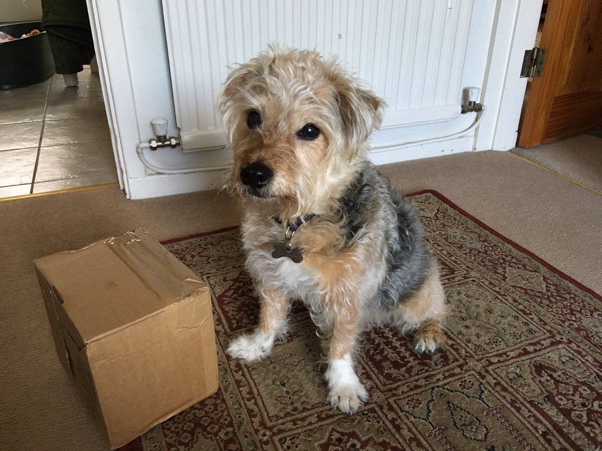 PoppyH20's tweet image. My parcel has arrived! Thank you to my Secret Santa 🎁👍😍😘 #btpsanta