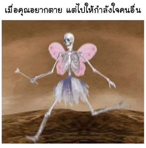 mm tweet media