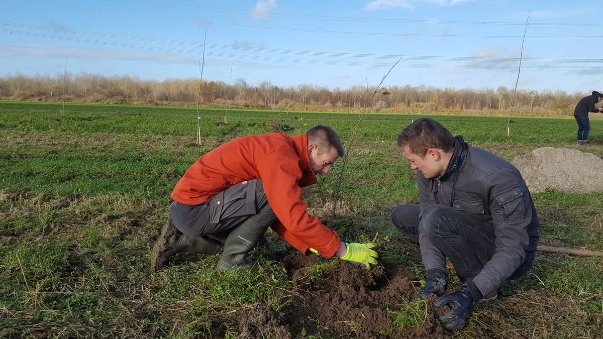 FirelyTeam's tweet photo. Thanks all for buying trees at DevDays. Today we planted around a 100 of the 242 total. #fhirdevdays #fhir https://t.co/vK0kTM3sLZ