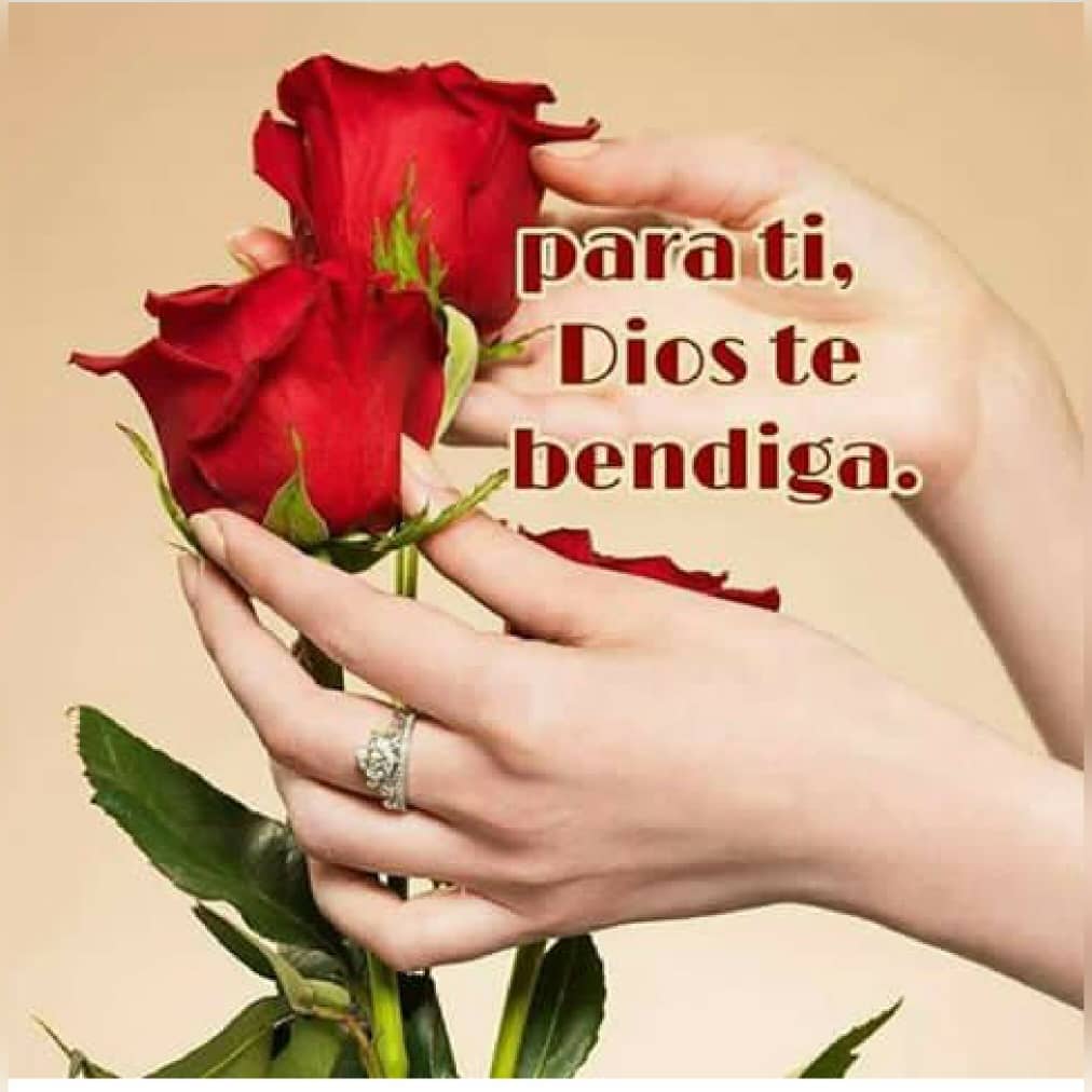 pgnora's tweet photo. @Clorind40035673 Gracias , Clorinda, Dios te bendiga a ti y tu familia. Cuando bendecimos a un hermano , le decimos Dios te bendiga , estamos poniendo a esa persona bajo la Mirada de Cristo , bajo su cobijo. Yo te bendigo en el nombre del Padre del HIJO y del Espiritu Santo. Amen. https://t.co/LAHaJmQEuj