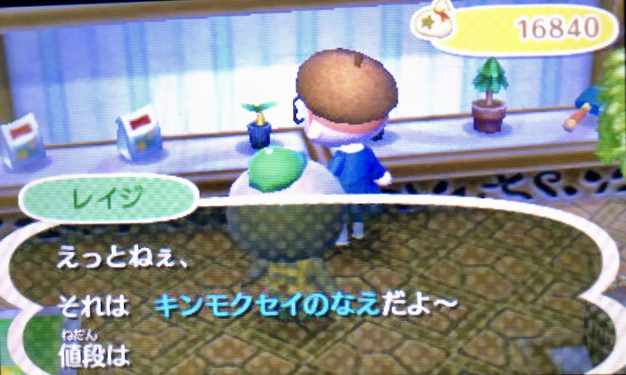 かりん とび森村整備中 A Fariy Tale Twitter