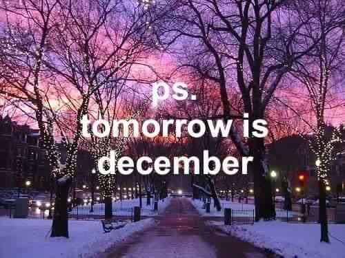 Christmas is on its way ⛄️ ❄️ #December #1stdecember #winter #Christmas2018