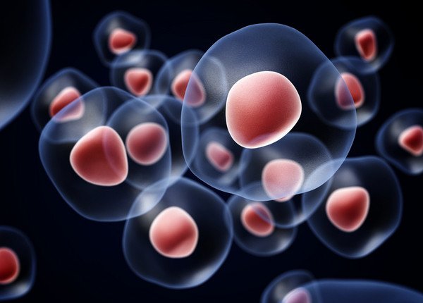 centerfertility's tweet photo. New genetic causes linked to abnormal #pregnancies and #miscarriages: https://t.co/2lrqunJ0UP https://t.co/ktEvkznUkW