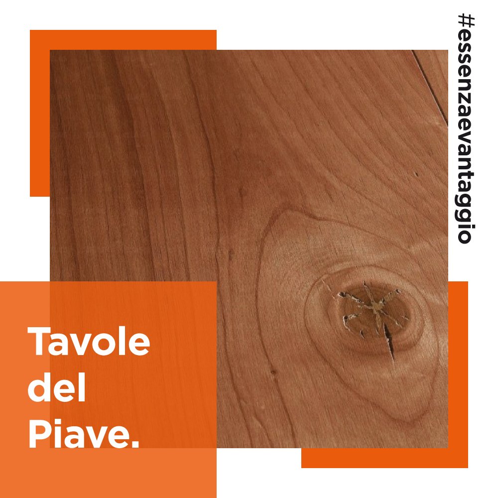 Dalla collezione "Tavole del Piave" è in offerta speciale il parquet in ciliegio Spazzolato H2O.

Scopri i dettagli e acquistalo all'interno del nostro sito outlet 👉 goo.gl/QGzpSv