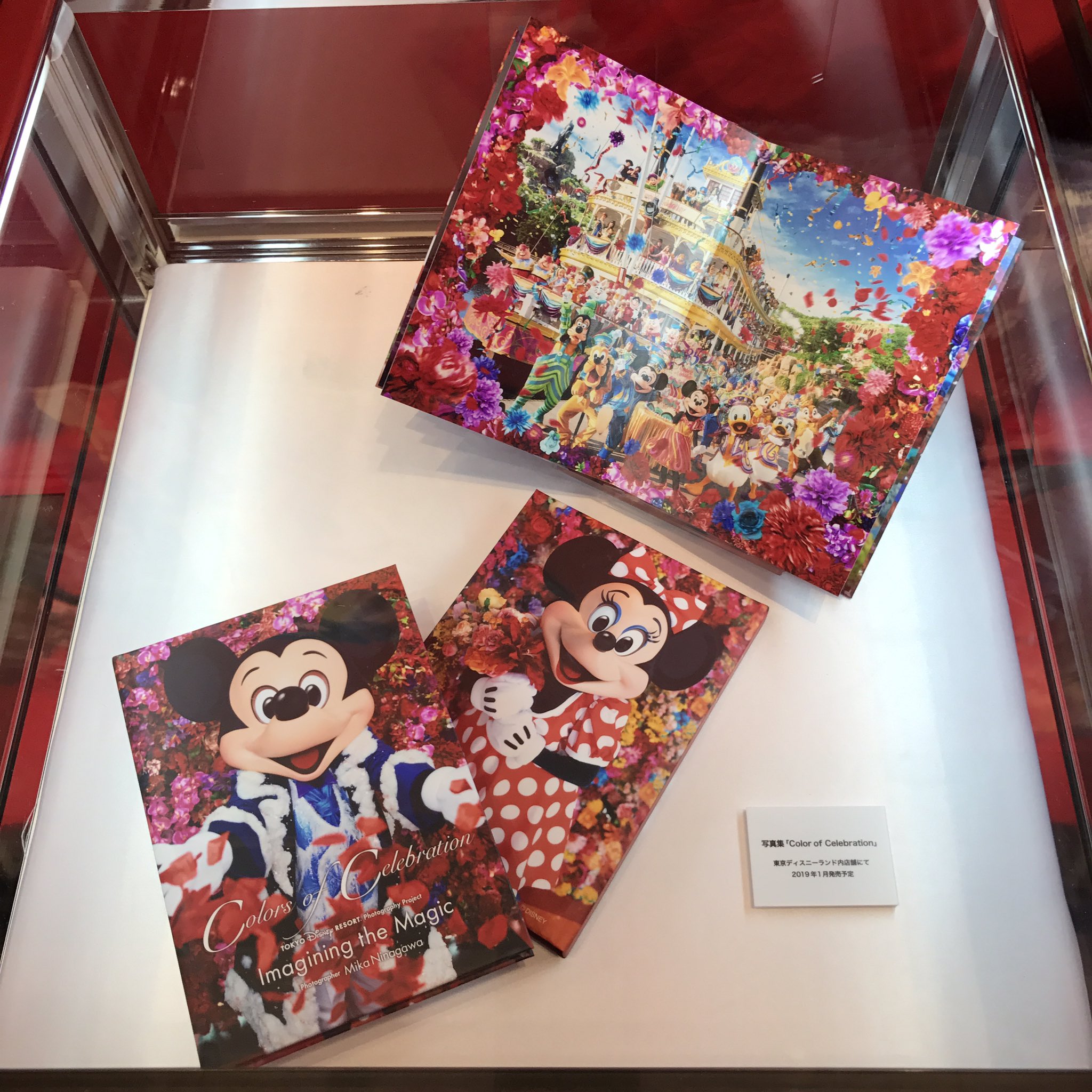 توییتر Hiro در توییتر ディズニー 蜷川実花展 グッズ飾ってあった 写真集欲しい また入荷してるタイミングを狙ってインパしなくては T Co 2qpwh3htel