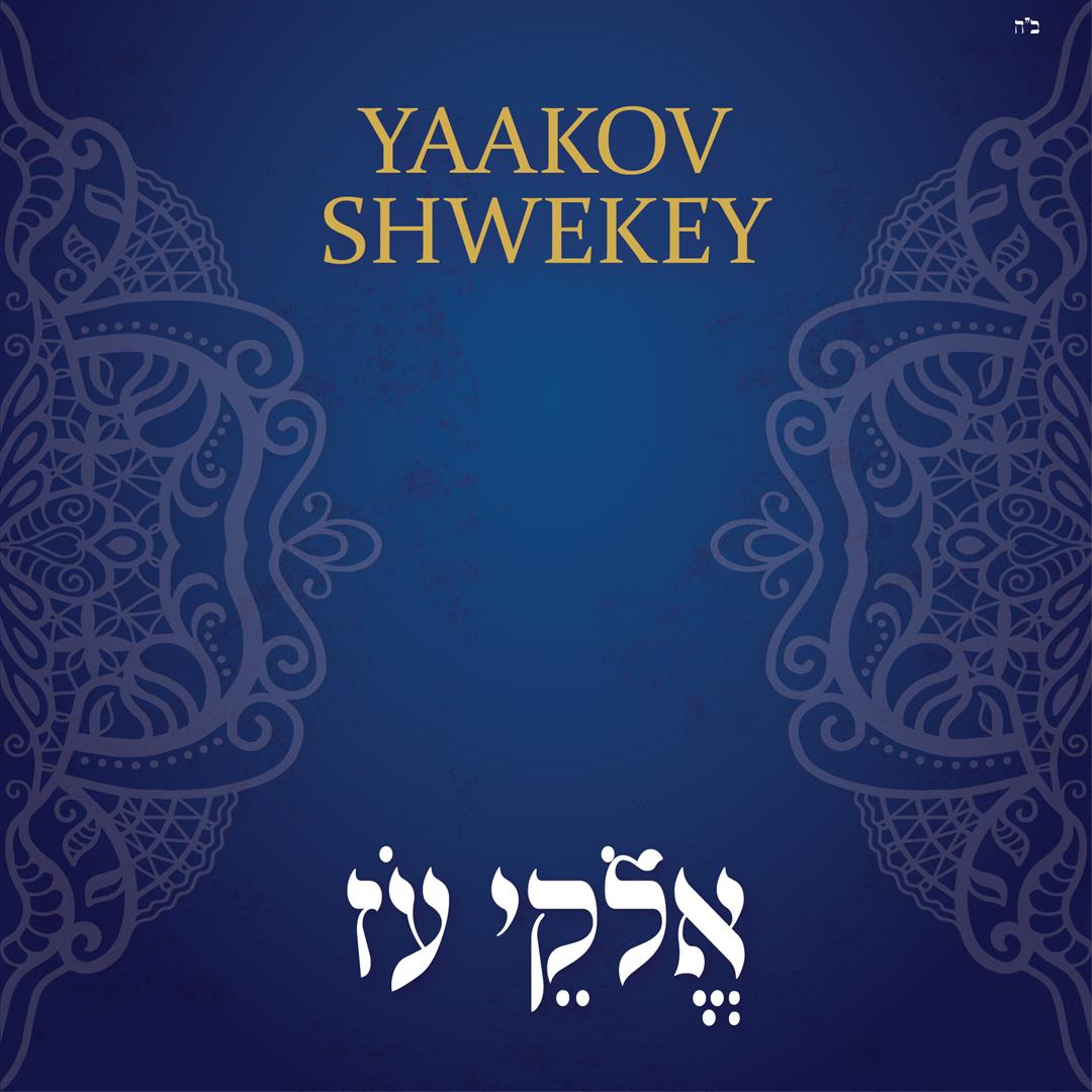 JE_Network's tweet photo. NEW singles from @ShwekeyOfficial #ElokaiOz @Six13Sings #ChanukahRhapsody @Maccabeats #IHaveaLittleDreidel @AmichaiSubar #Torati added to our AMAZING music mix! Hear it FIRST on the @JE_Network #ScoopRadio @LakewoodScoop https://t.co/td3dNIsQsu