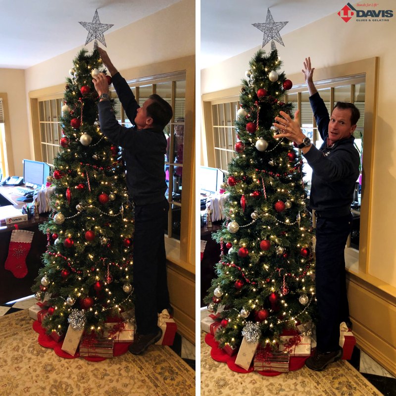 lddavisadhesive's tweet image. It's officially the holiday season in our office in Jenkintown. The LD Davis elves put the tree up, and Tripp added the star! #christmas #holidays #lddavis