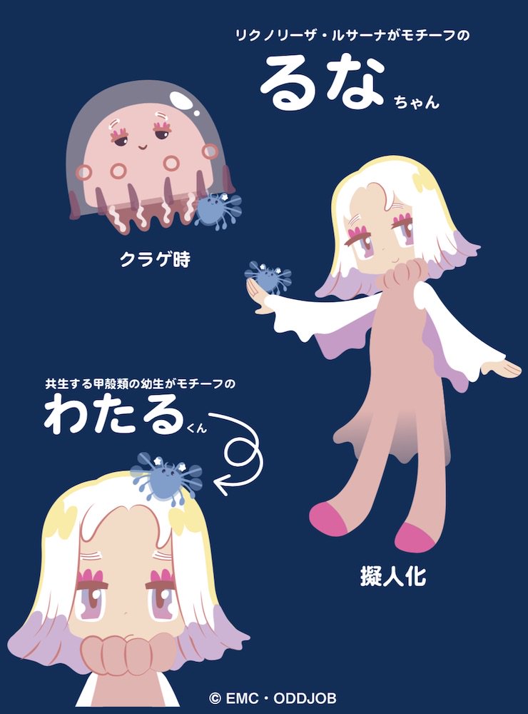 松本王国 きんぐだむ えのしまんず スピンオフ クラゲの相談 山岡ゆり Yuri Yamaoka さんのキャラクターは リクノリーザ ルサーナというクラゲがモチーフの るなちゃん に決定 Radiko クラゲ コエチャン T Co Ss8cwsnsld 松本王国 きんぐだむ えのしまんず スピンオフ クラゲの相談 山岡ゆり Yuri Yamaoka さんのキャラクターは リクノリーザ ルサーナというクラゲがモチーフの るなちゃん に決定 Radiko クラゲ コエチャン T Co Ss8cwsnsld