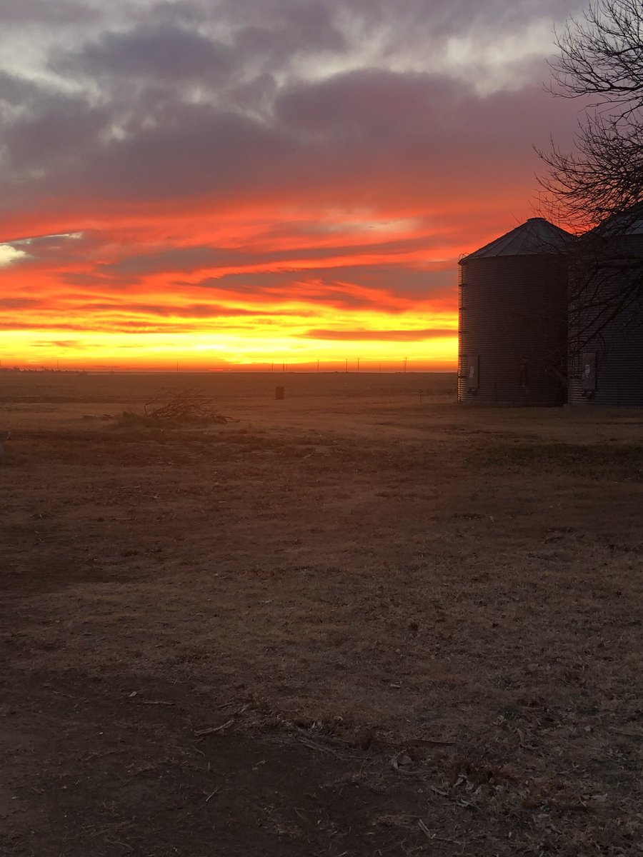 APritchard842's tweet photo. Rise and shine! Do something great today! #itstartswithme #SelfImprovement #Entrepreneur #maxout https://t.co/CC1SuBPCQ1
