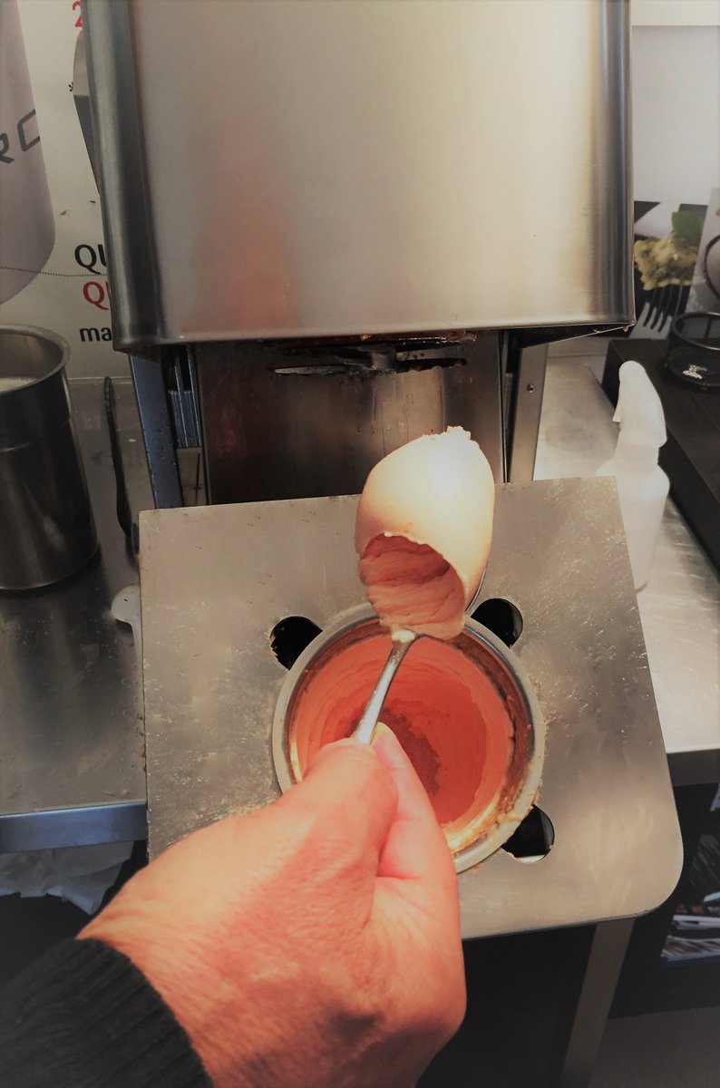 Tomato icecream🍦🍅Thanks to the 12 different speeds prepare #icecream, #sorbet, #granita or even #mousse and #filling.
➡️1.8 lt of tasty ideas: just put the ingredients in the beaker, freeze it and serve it in 60 seconds.  Choose what texture fits better with your plans! #GIAZ