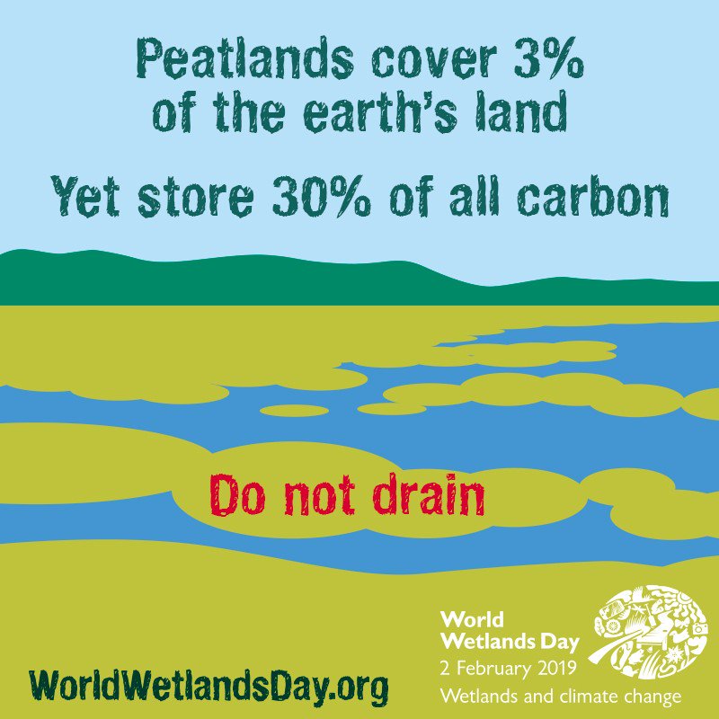 Why #PeatlandsMatter
#KeepWetlands they are a natural solution to our #climatechange problem
Tomorrow 1 December starts the #GlobalPeatlandsInitiative & we look forward to being part of this important initiative. @UNEnvironment @WetlandsInt @IUCNpeat @FAOForestry