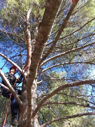 13Regie's tweet photo. Cette semaine les salariés de la Régie 13 ont effectué une formation élagage avec le centre de formation Sigma Formation d'Aubagne. Très heureux de les voir apprendre leur métier dans les arbres !!! @uniformation_ @poleemploipaca #talentLabsalariésrégie13 SIAE #insertion https://t.co/oaPO2YKG9X
