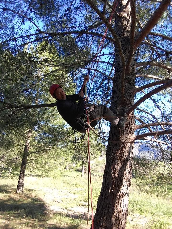 13Regie's tweet photo. Cette semaine les salariés de la Régie 13 ont effectué une formation élagage avec le centre de formation Sigma Formation d'Aubagne. Très heureux de les voir apprendre leur métier dans les arbres !!! @uniformation_ @poleemploipaca #talentLabsalariésrégie13 SIAE #insertion https://t.co/oaPO2YKG9X
