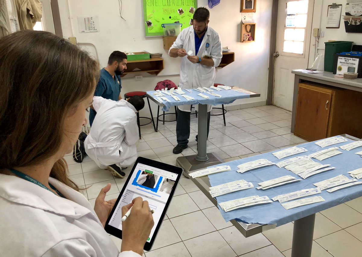 cavanaugh_sm's tweet photo. iPads are elevating our teaching and our research! This week, we collected DNA samples to study genetic mutations in dogs native to St. Kitts and Nevis. #appleteacher #applelearningacademychicago #numbers #rusvm @AppleEDU @RossVetSchool https://t.co/DYXfayyAKc