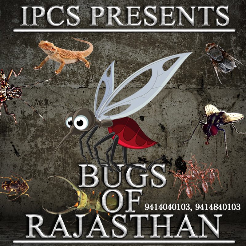 IPCSPest's tweet image. IPCS Pest Control is on the roll to eradicate all the Pests &amp;amp; Bugs of Rajasthan.
instagram.com/ipcs.pest.cont…

#ipcs #ipcspestcontrol #pestcontrol #child #health #kidshealth #pestfree #home #happy #family #Bollywood #Control #Disease #Rodent #Lizard  #pun #memes #jaipur #pinkcity