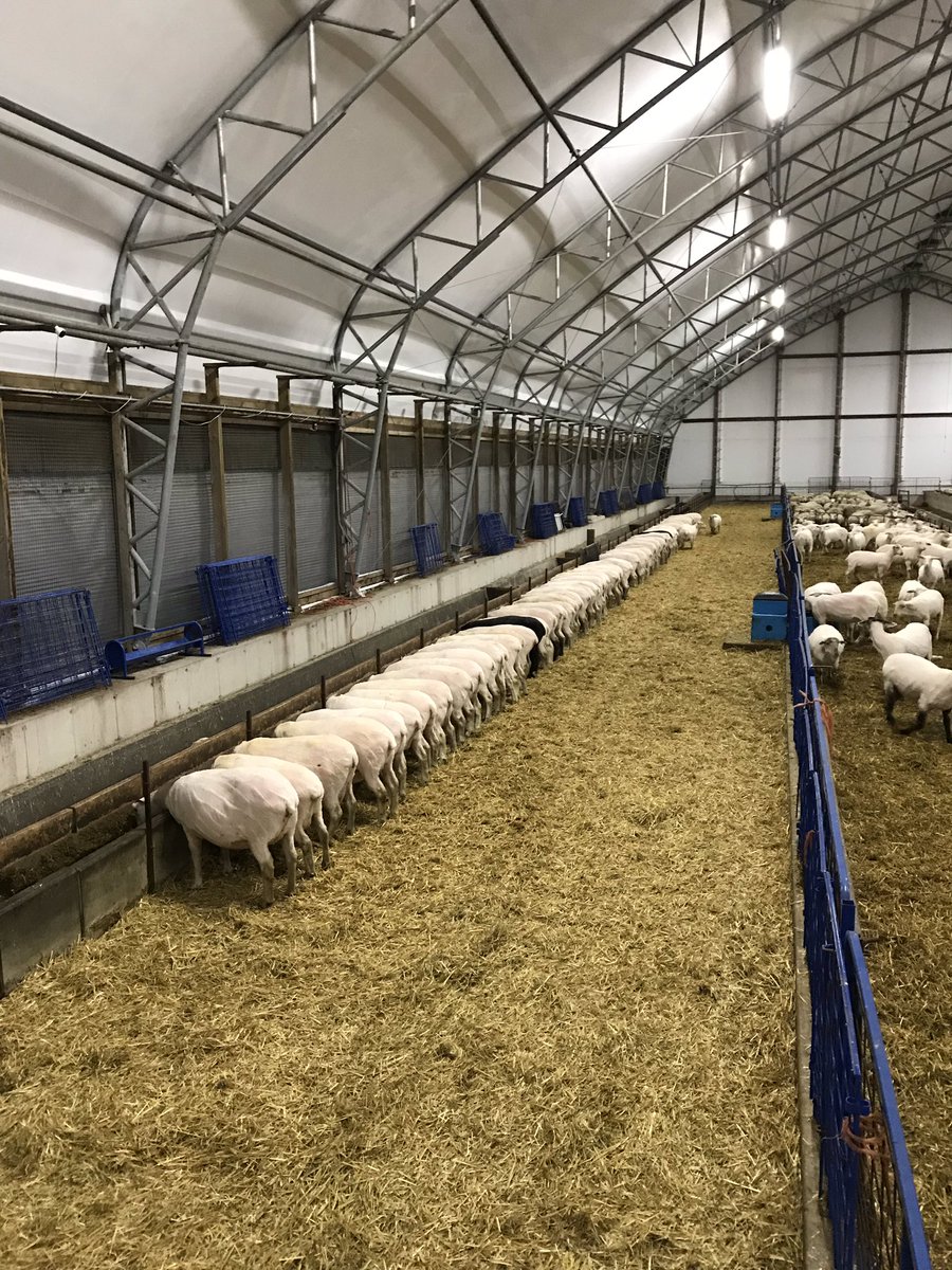 Sandi Brock On Twitter Hey Look At That I Don T Need A