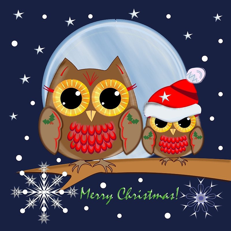 Just_Owling's tweet photo. Holiday Greetings from Just Owling.  Stop by our site for exquisite jewelry, stunning art pieces and unique gifts for the season  We're https://t.co/dPpQmeuy4c and nothing else.
#giftguide #HolidaysAreComing #Christmas #owls #owllovers #gift https://t.co/GiHE1mFKSk