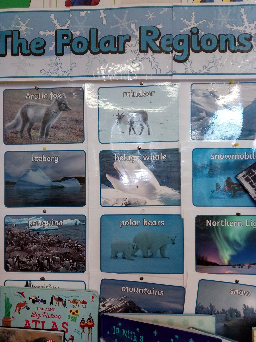 coolbockns's tweet photo. They wrote lists of all the things they would need, read lots and lots of stories and much more. We did some art activities inspired by the Polar Regions although the children now know that polar bears and penguins do not exist together! https://t.co/mNuneDbwQS