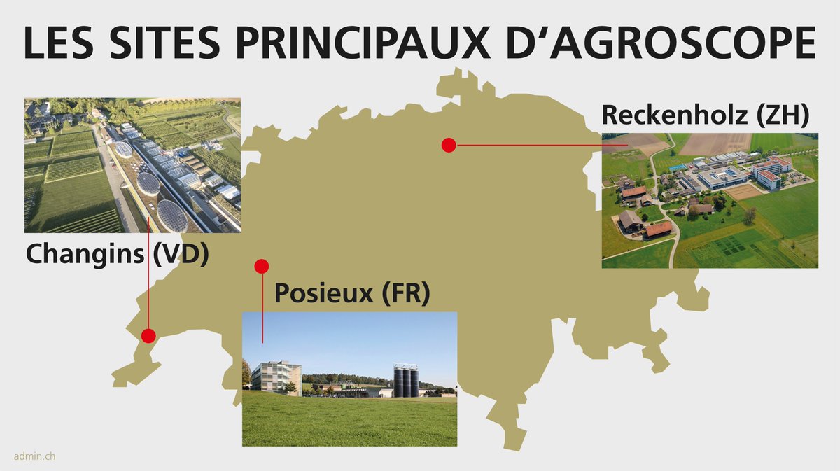 BR_Sprecher's tweet image. #DécisionCF. La recherche doit encore plus profiter à l'agriculture. La Confédération renforce l'institut de recherche #Agroscope avec un campus central à Posieux (FR) et des centres régionaux à Changins (VD) et Reckenholz (ZH). admin.ch/gov/fr/accueil… (BK)