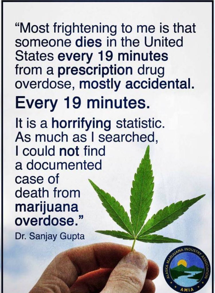 dejager420's tweet photo. Happy Friday to all! Wishing each and everyone of you a fabulous day. 😊❤️🌿💨 https://t.co/zpa1bM7uU0