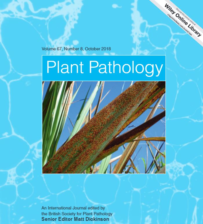 Fusarium diseases of cereals - read the latest virtualissue from Plant Pathology @BSPPjournals