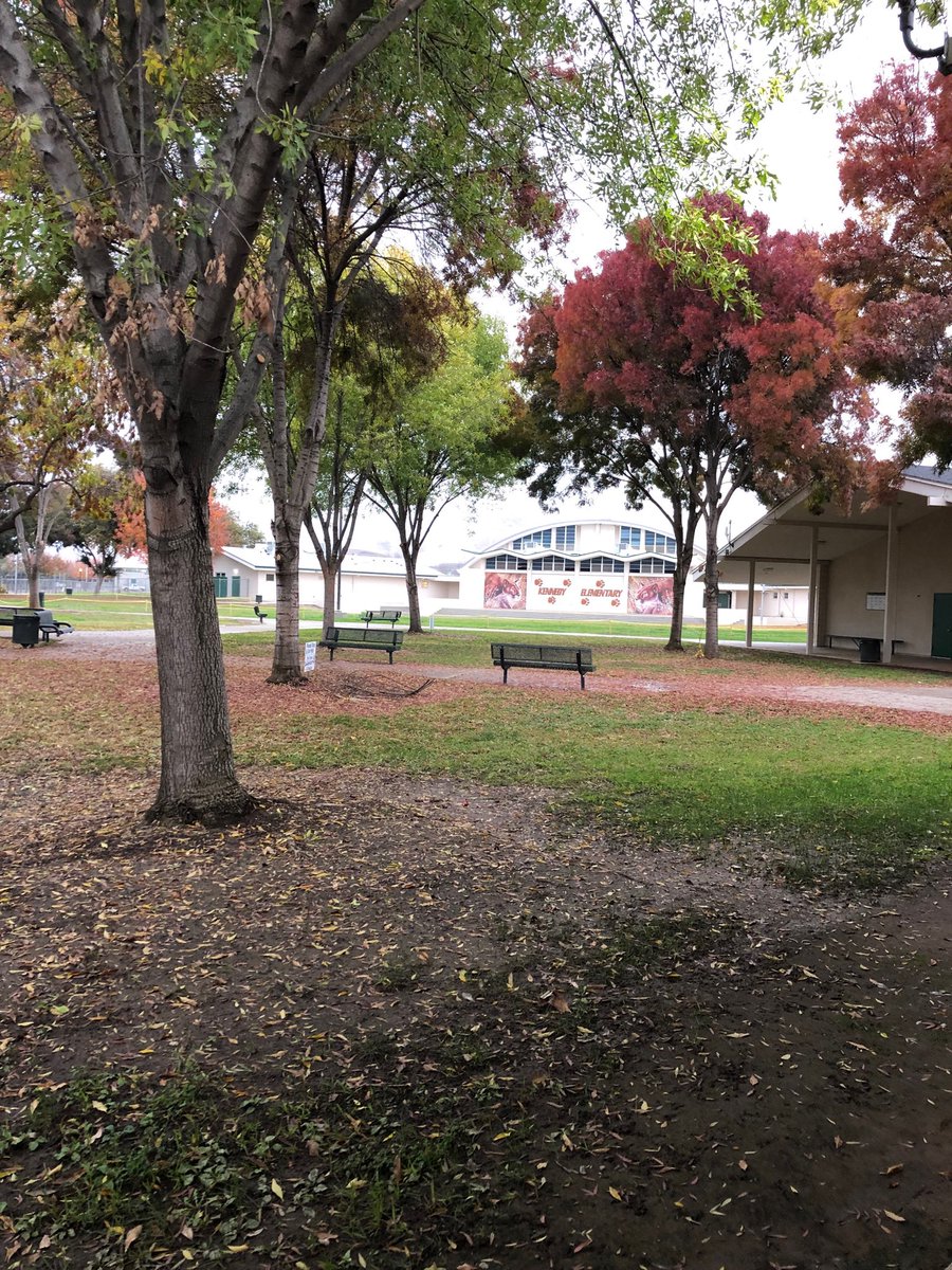 dwilcoxson_'s tweet photo. I’m lucky to work here!!!!! ⁦@TSLEmpower⁩ https://t.co/jwhi0YTjrt