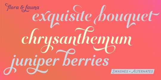 typeworship's tweet image. On the blog right now:
“Elegant to Goofy – Choosing the right tone of voice for your design”
blog.8faces.com

Match your intuition with a little technical know how.